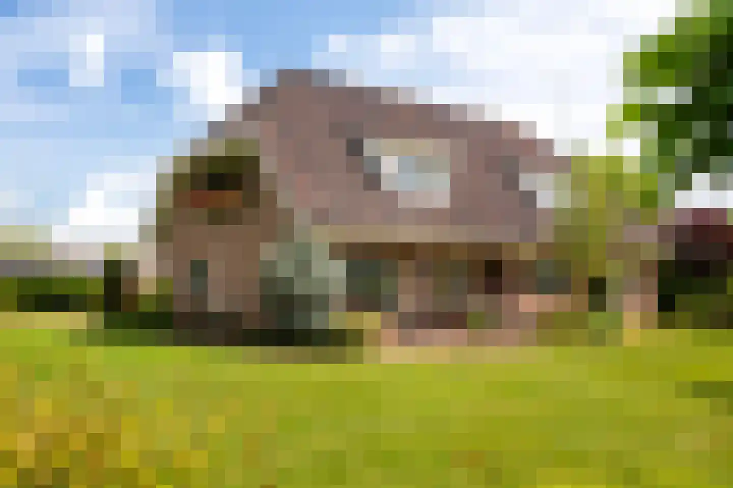 Rijksstraatweg 162 Teuge thumbnail 6