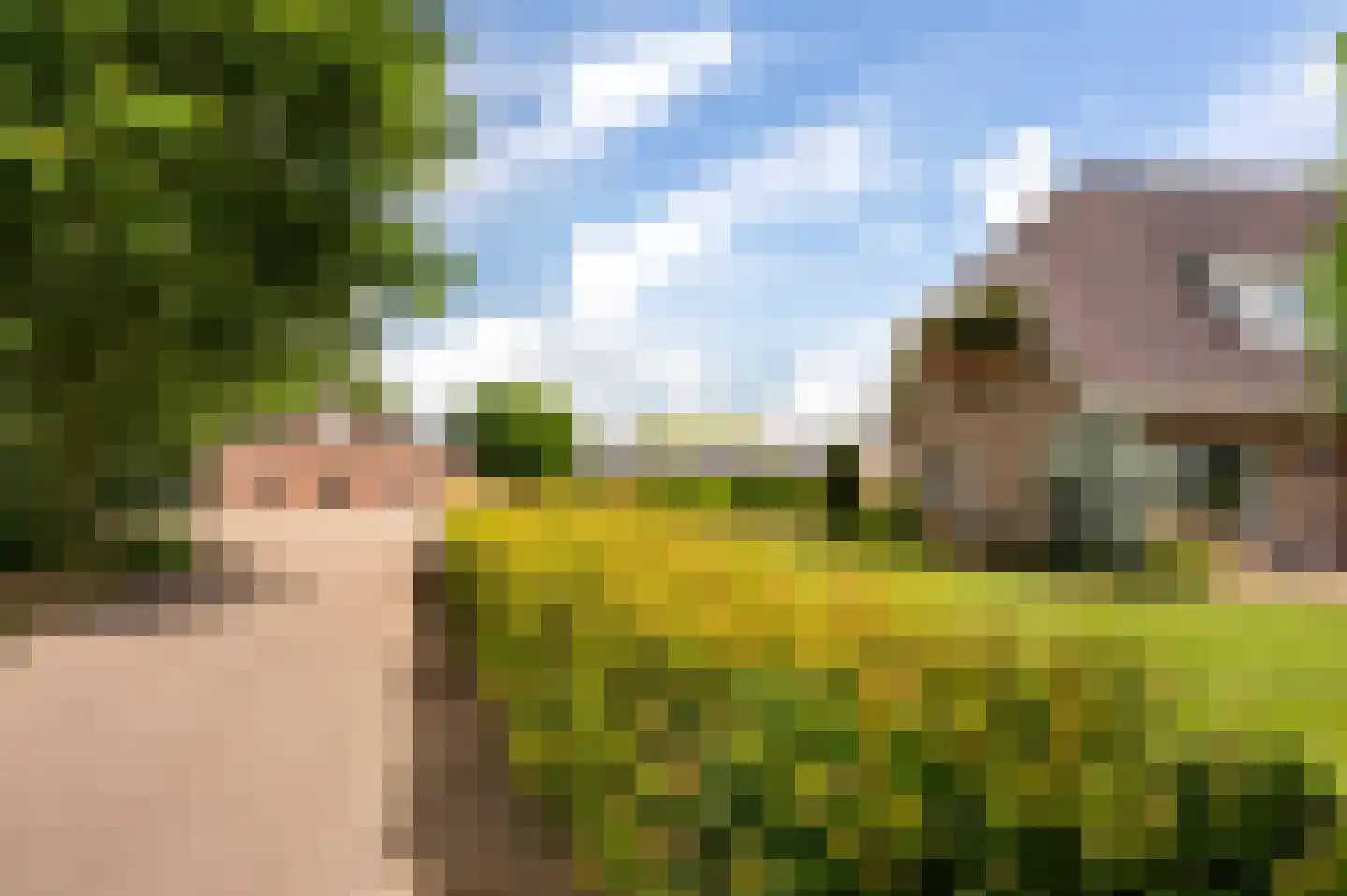 Rijksstraatweg 162 Teuge thumbnail 64