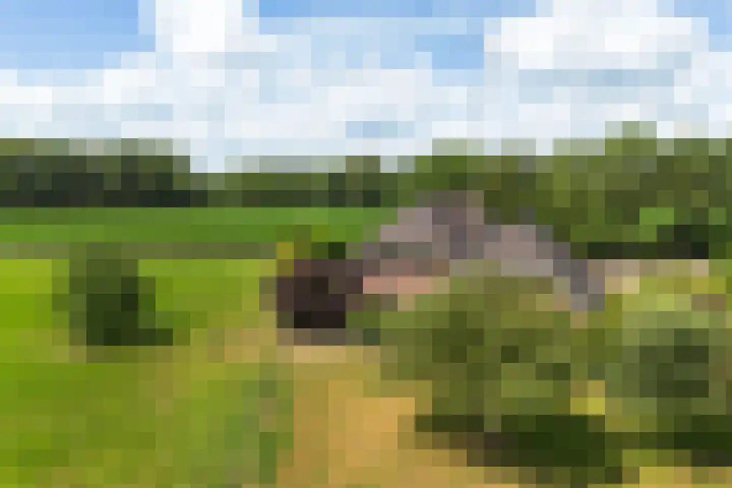 Rijksstraatweg 162 Teuge thumbnail 66