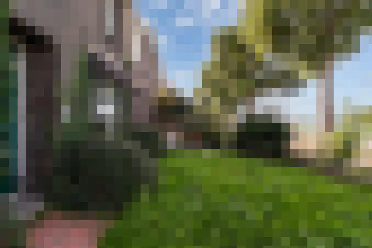 Rijksstraatweg 168 Dordrecht thumbnail 8