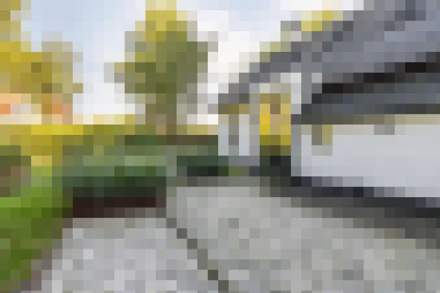 Rijksstraatweg 17 Glimmen thumbnail 11