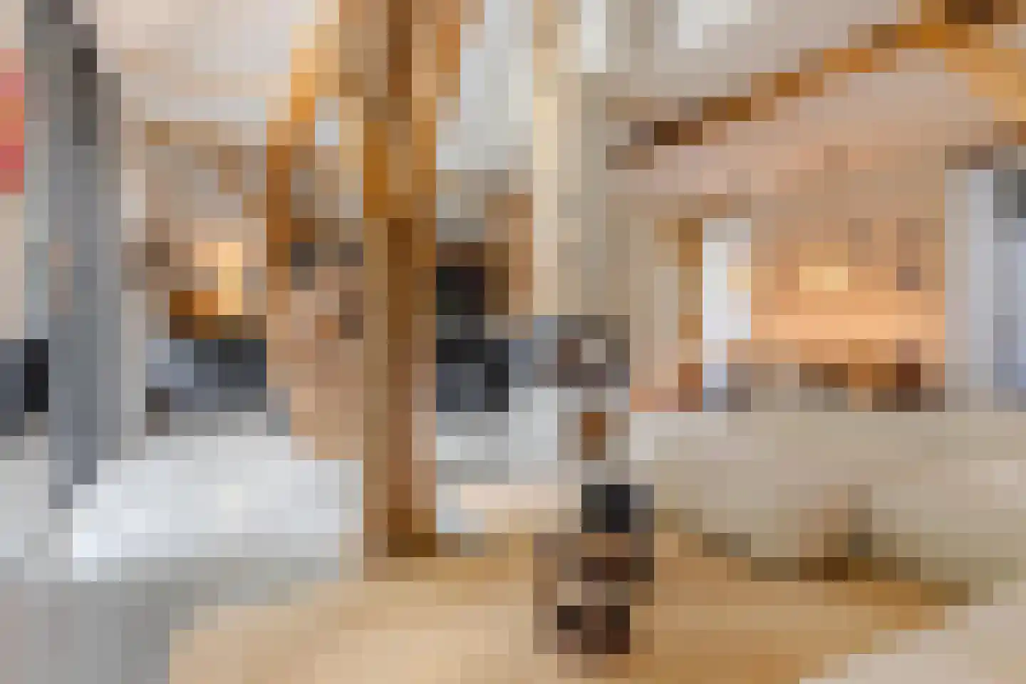 Rijksstraatweg 17 Glimmen thumbnail 19