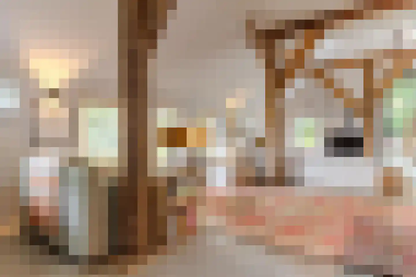 Rijksstraatweg 17 Glimmen thumbnail 30