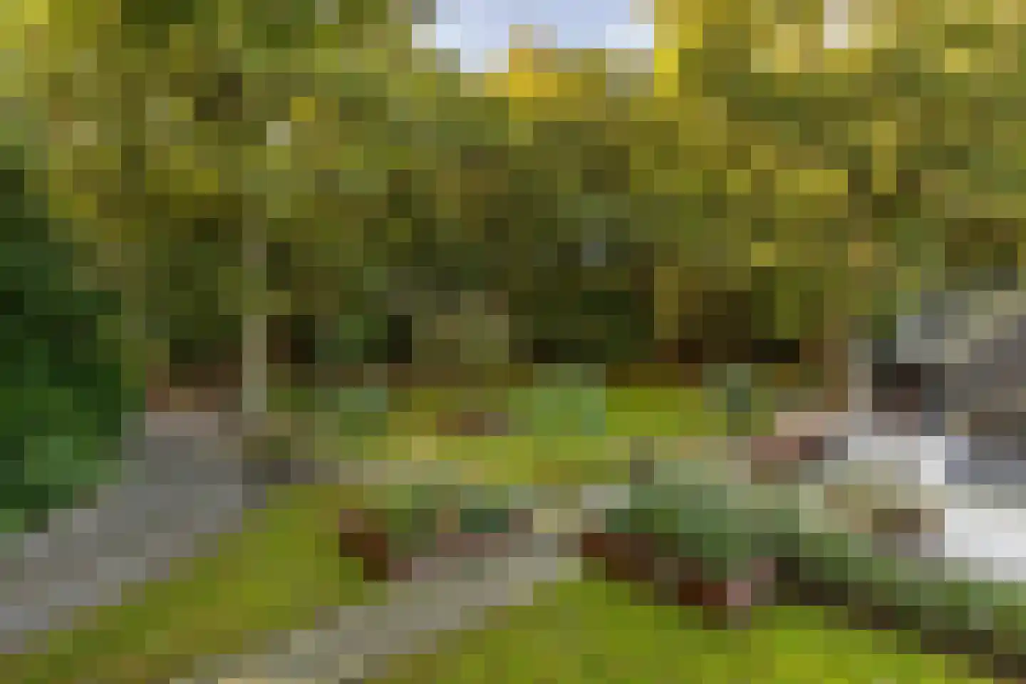 Rijksstraatweg 17 Glimmen thumbnail 4