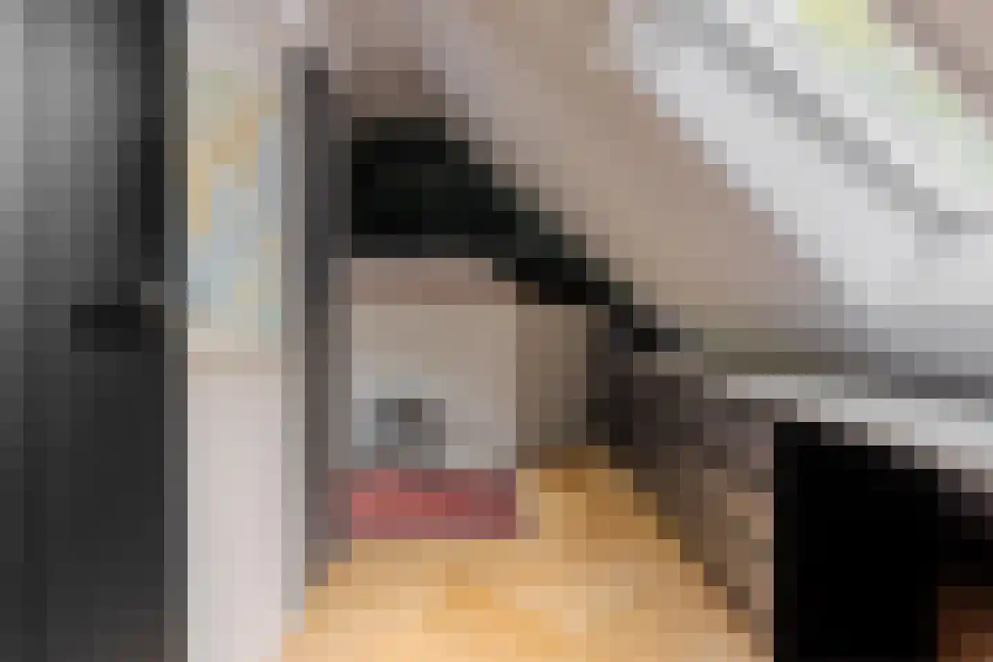 Rijksstraatweg 17 Glimmen thumbnail 46