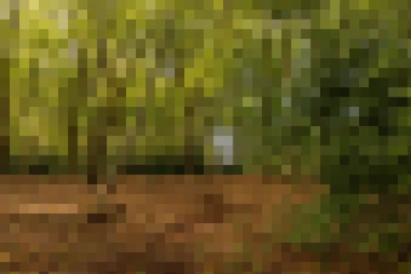 Rijksstraatweg 17 Glimmen thumbnail 5