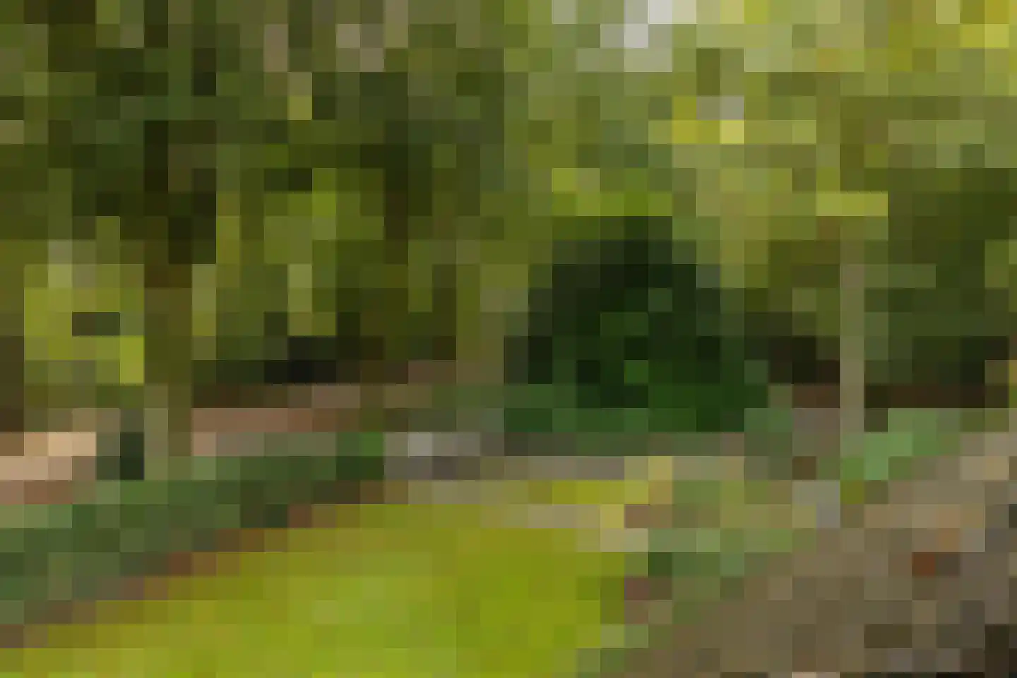 Rijksstraatweg 17 Glimmen thumbnail 52