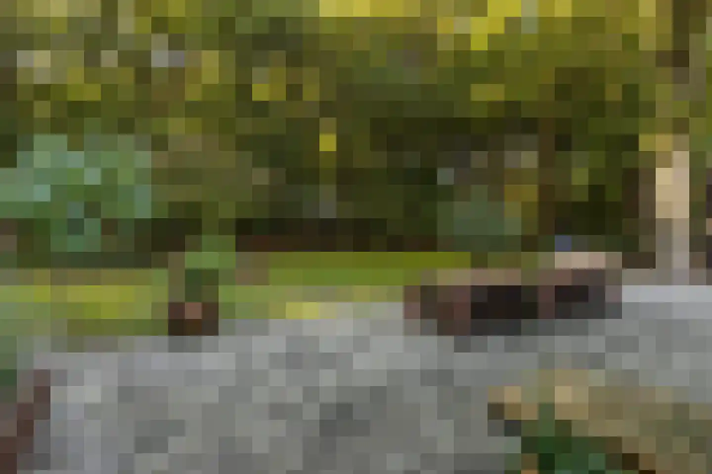 Rijksstraatweg 17 Glimmen thumbnail 58