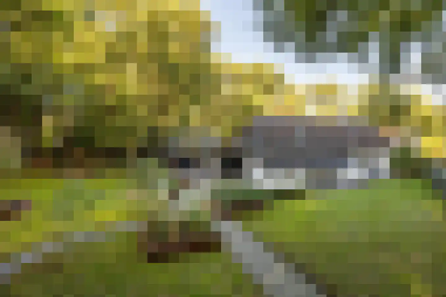 Rijksstraatweg 17 Glimmen thumbnail 6