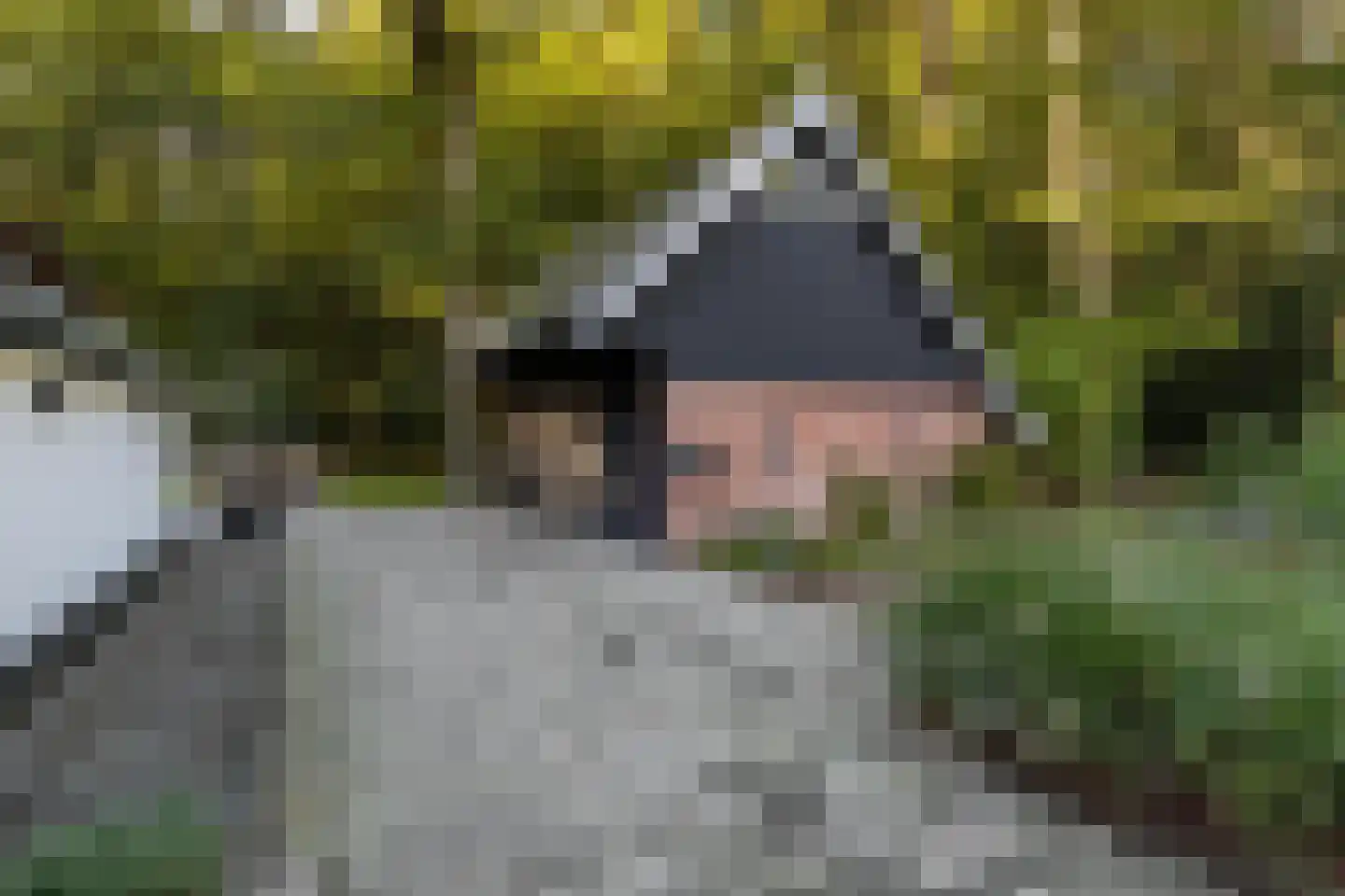 Rijksstraatweg 17 Glimmen thumbnail 61