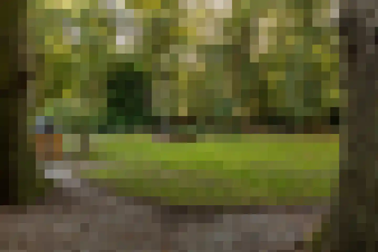 Rijksstraatweg 17 Glimmen thumbnail 62