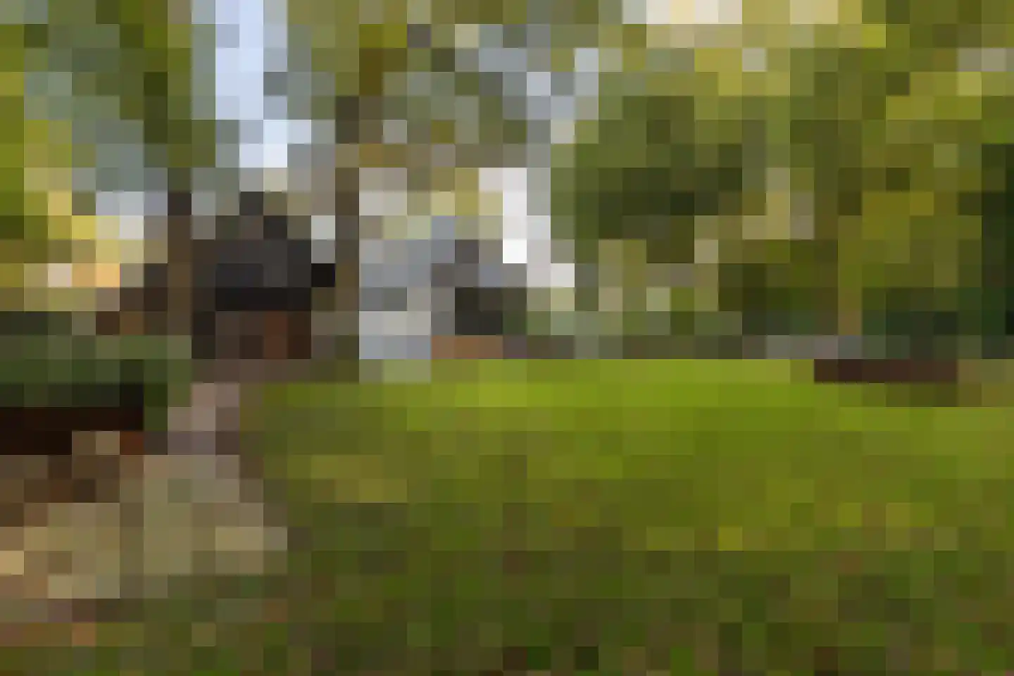 Rijksstraatweg 17 Glimmen thumbnail 63