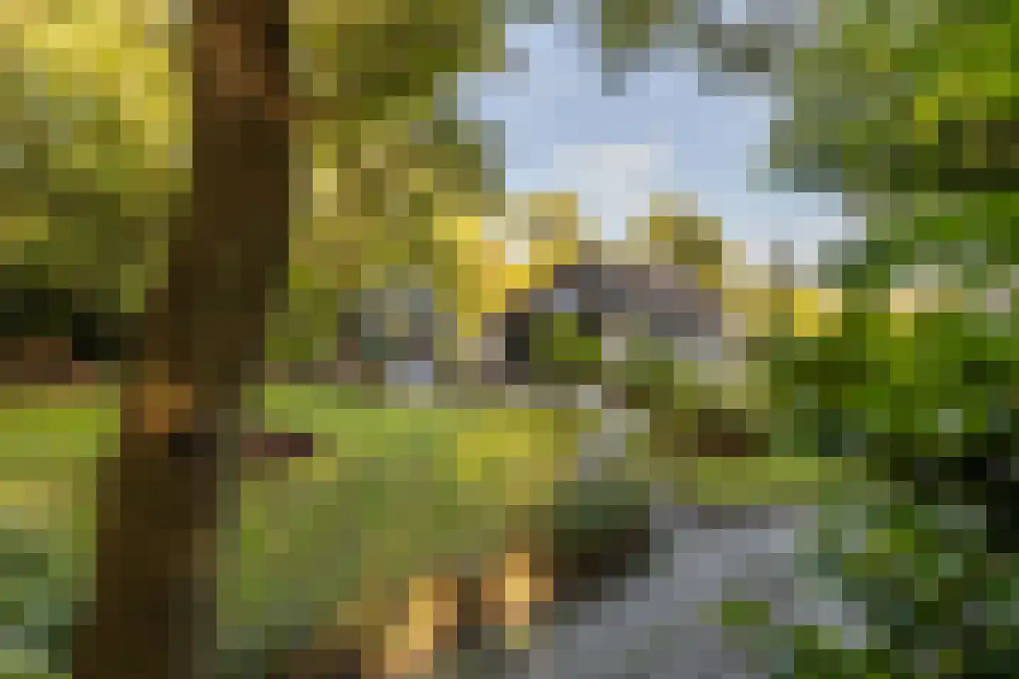 Rijksstraatweg 17 Glimmen thumbnail 64