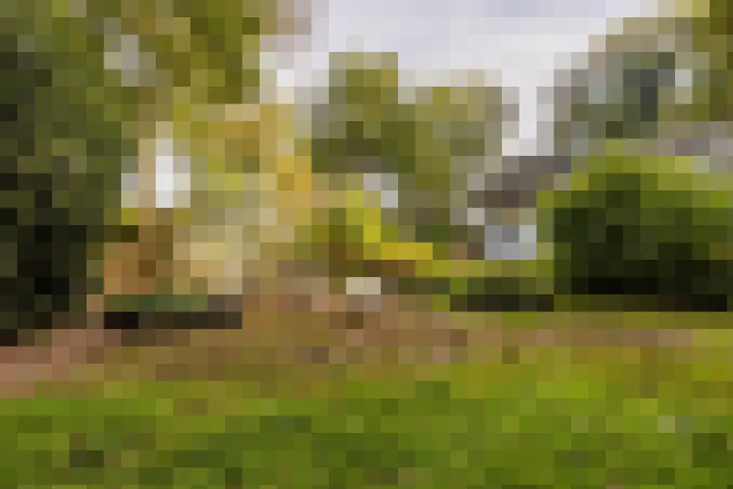 Rijksstraatweg 17 Glimmen thumbnail 66