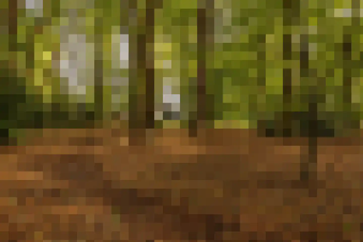 Rijksstraatweg 17 Glimmen thumbnail 67