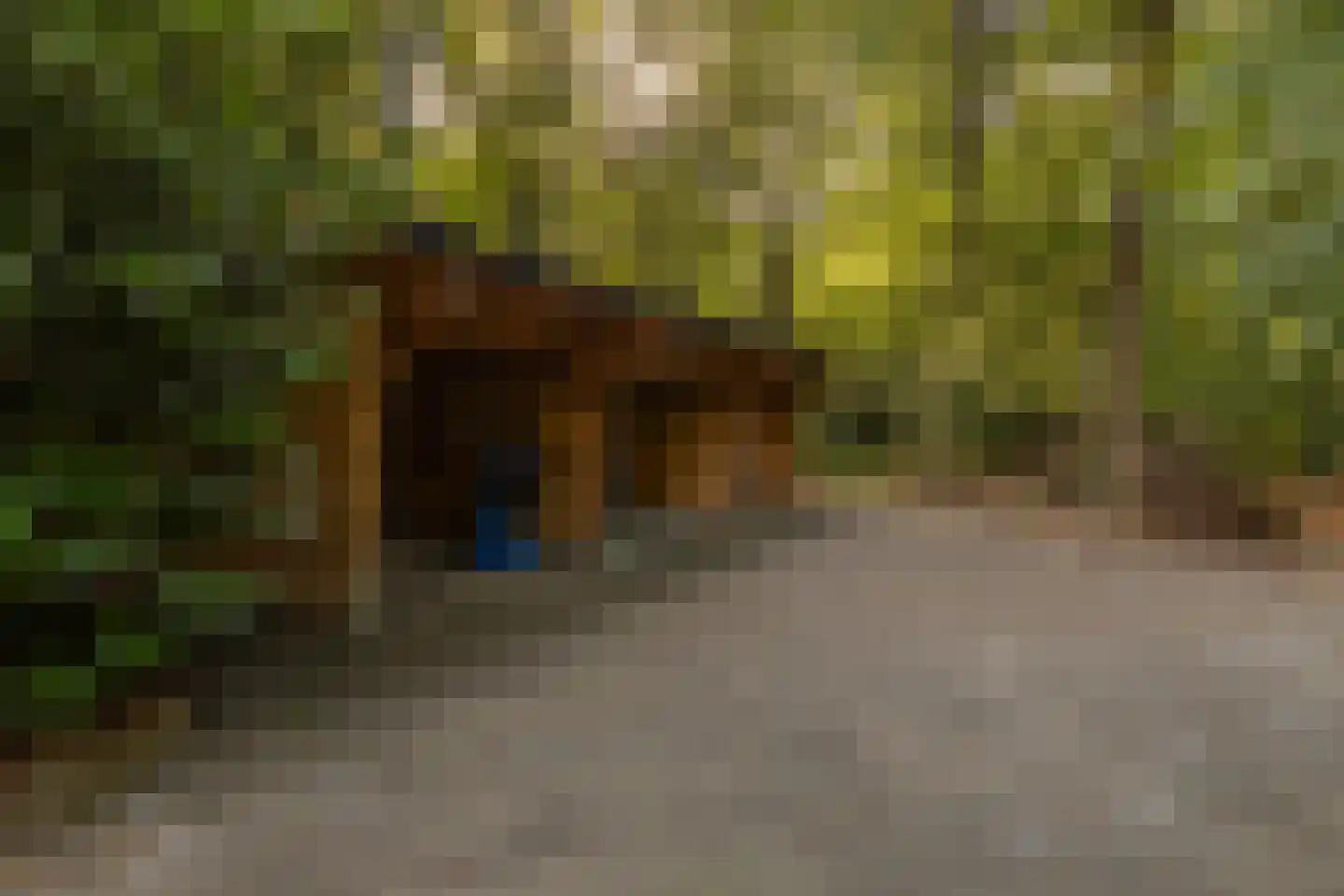 Rijksstraatweg 17 Glimmen thumbnail 69