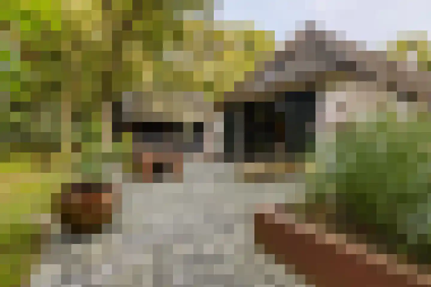 Rijksstraatweg 17 Glimmen thumbnail 7