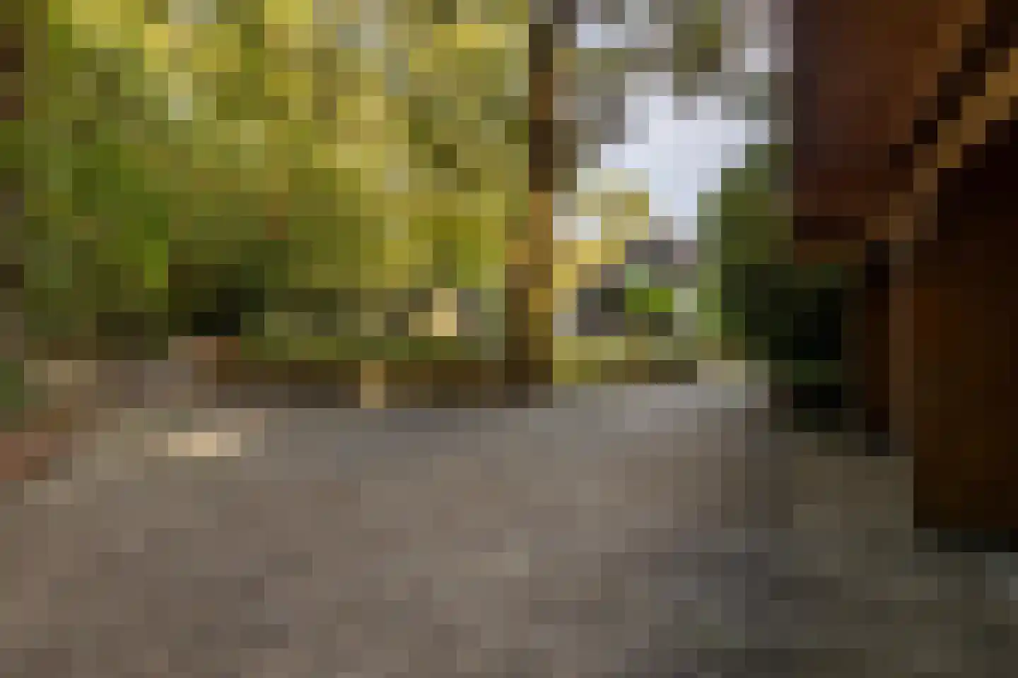 Rijksstraatweg 17 Glimmen thumbnail 70