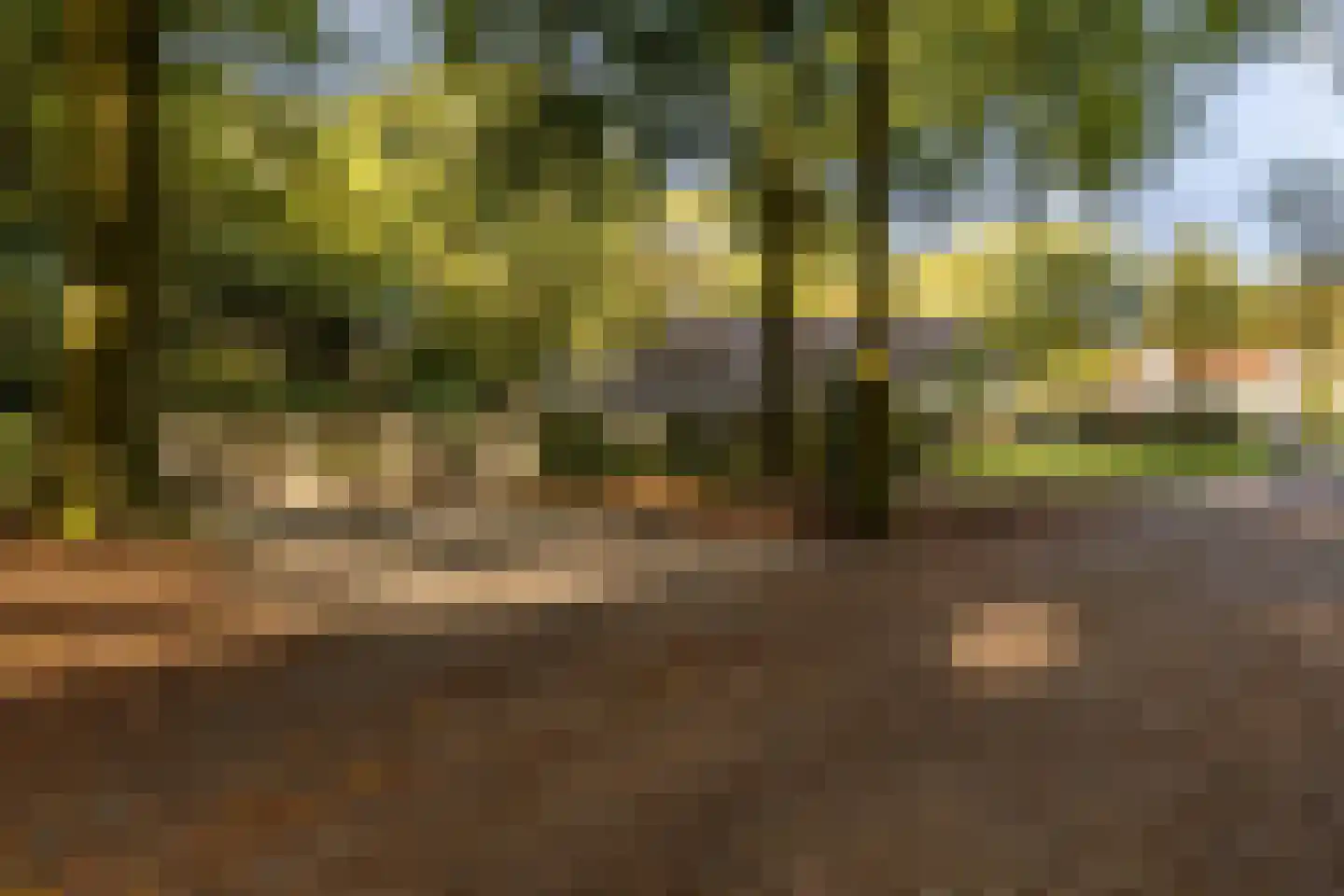 Rijksstraatweg 17 Glimmen thumbnail 71