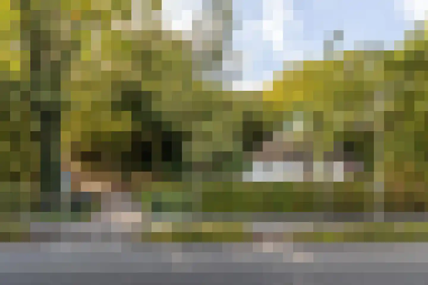 Rijksstraatweg 17 Glimmen thumbnail 73