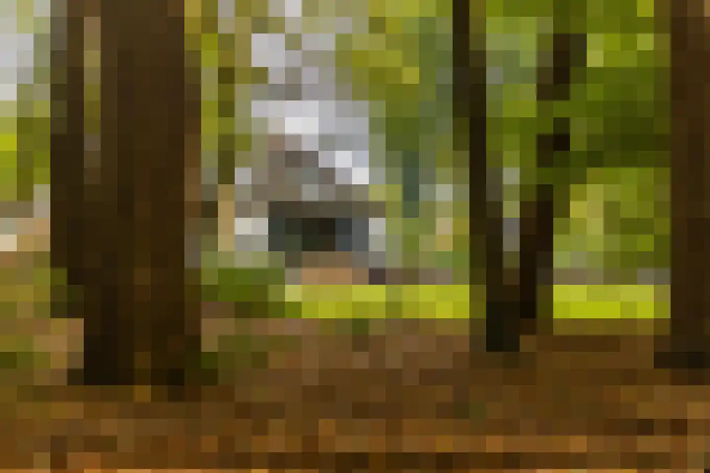Rijksstraatweg 17 Glimmen thumbnail 8