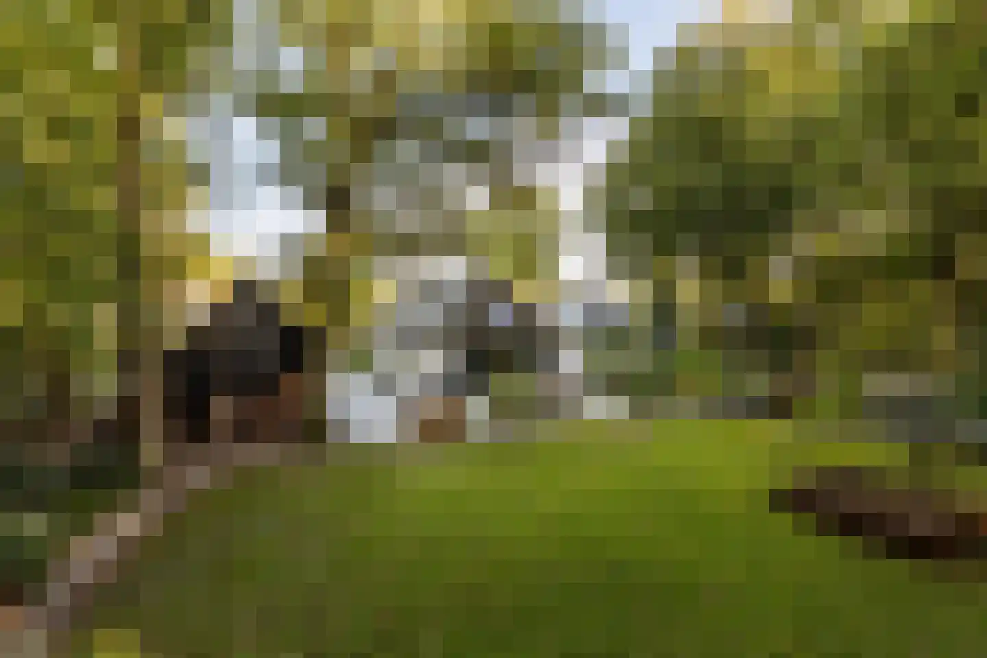 Rijksstraatweg 17 Glimmen thumbnail 9