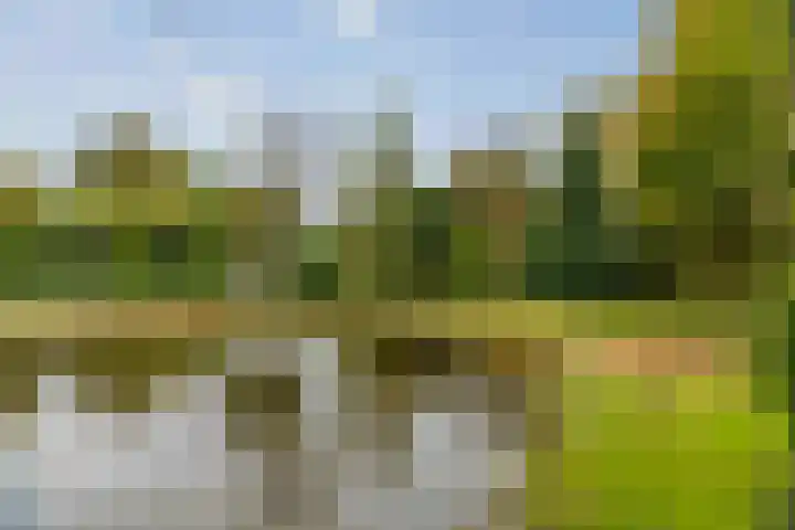 Rijksstraatweg 175 Twello thumbnail 4