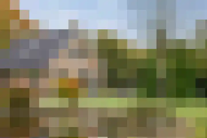 Rijksstraatweg 175 Twello thumbnail 68