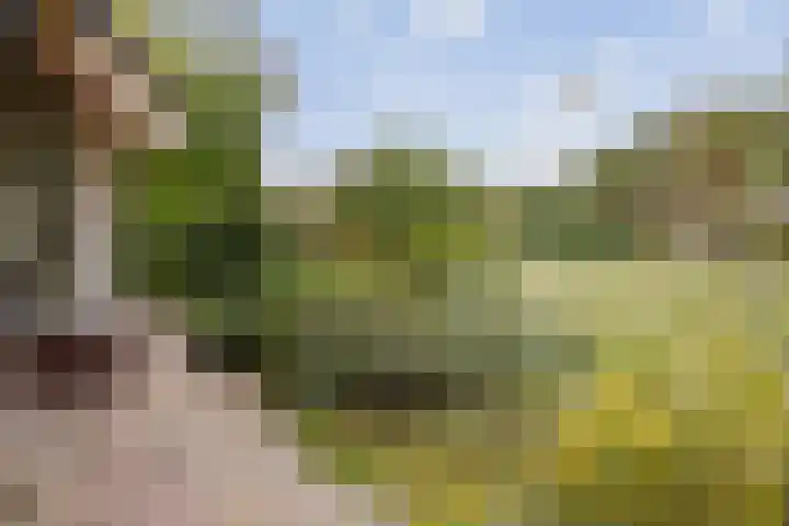 Rijksstraatweg 175 Twello thumbnail 78
