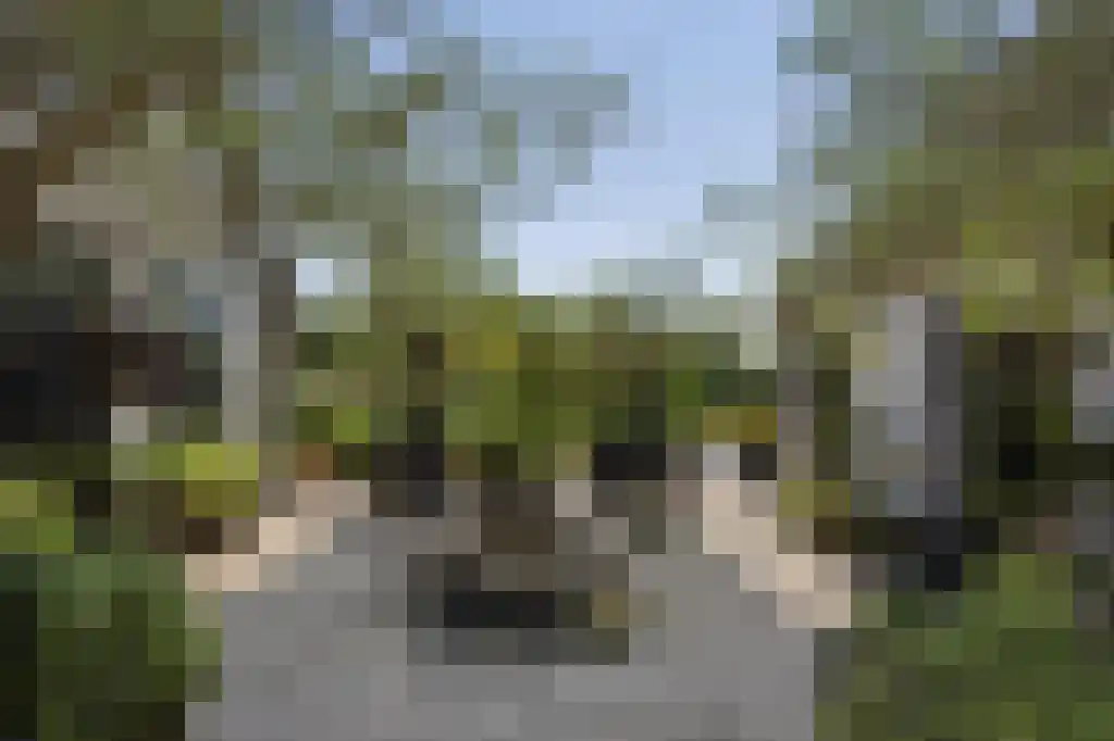 Rijksstraatweg 177 Loenen aan de Vecht thumbnail 28