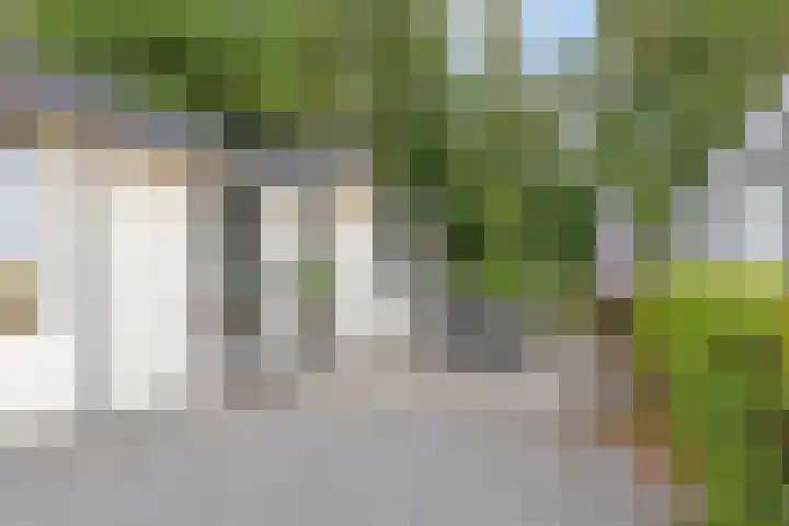 Rijksstraatweg 186 302 Dordrecht thumbnail 5