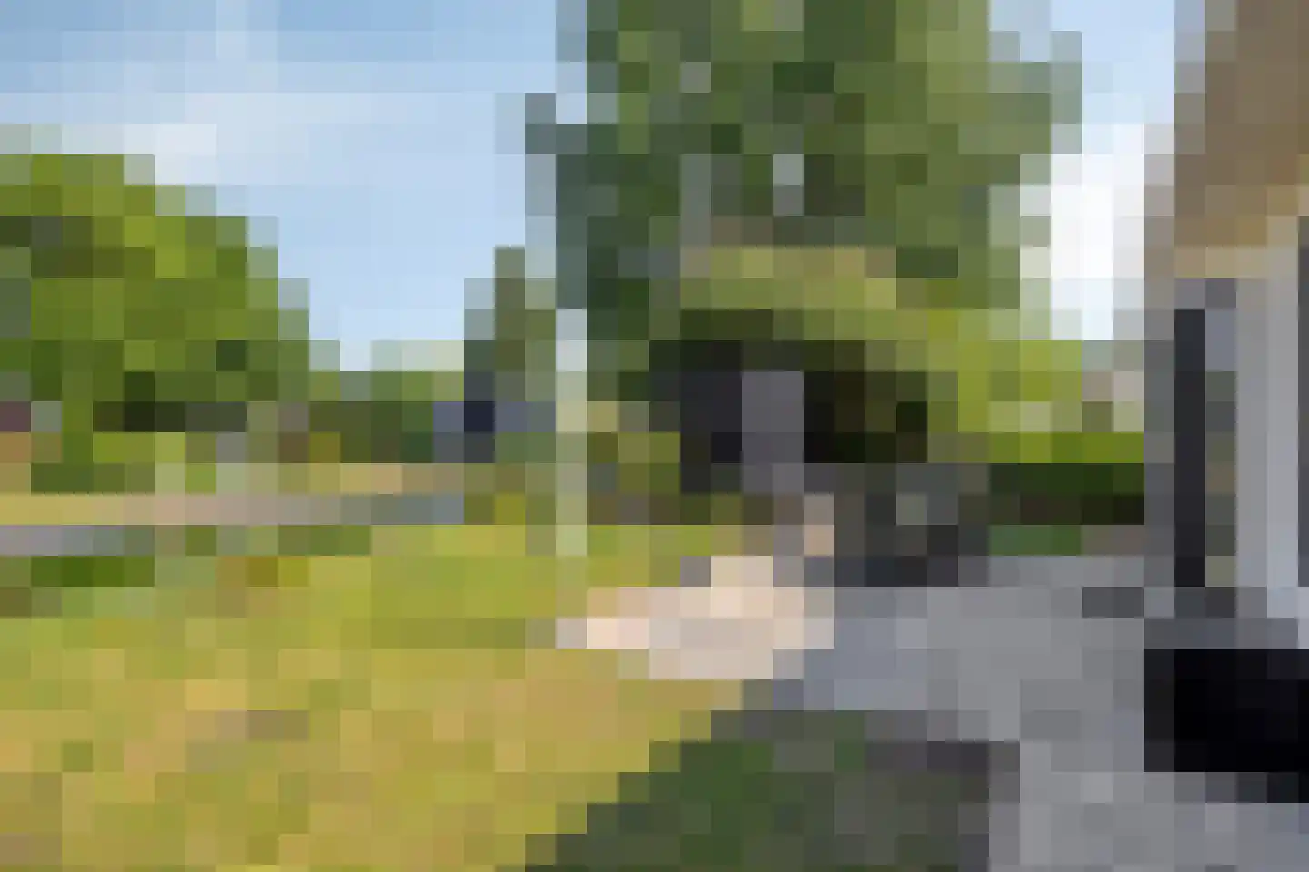 Rijksstraatweg 186 386A Dordrecht thumbnail 16