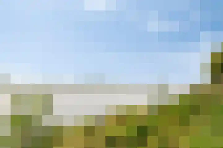Rijksstraatweg 186 611 Dordrecht thumbnail 28