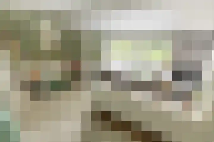 Rijksstraatweg 19 Glimmen thumbnail 18