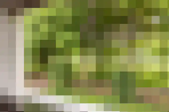 Rijksstraatweg 19 Glimmen thumbnail 23
