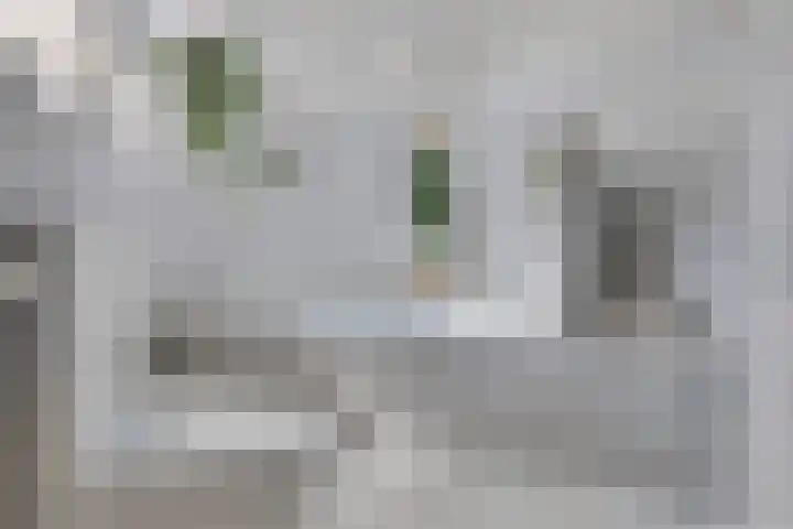Rijksstraatweg 19 Glimmen thumbnail 30