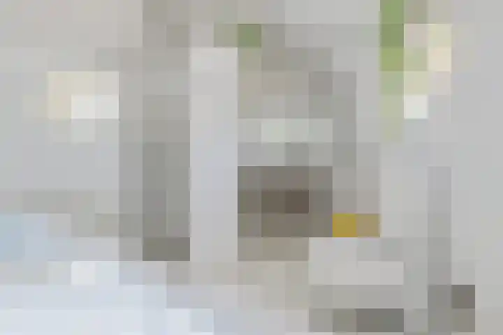 Rijksstraatweg 19 Glimmen thumbnail 31