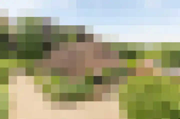 Rijksstraatweg 19 Glimmen thumbnail 4