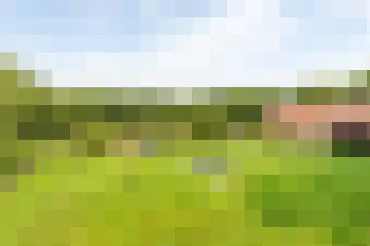 Rijksstraatweg 19 Glimmen thumbnail 42