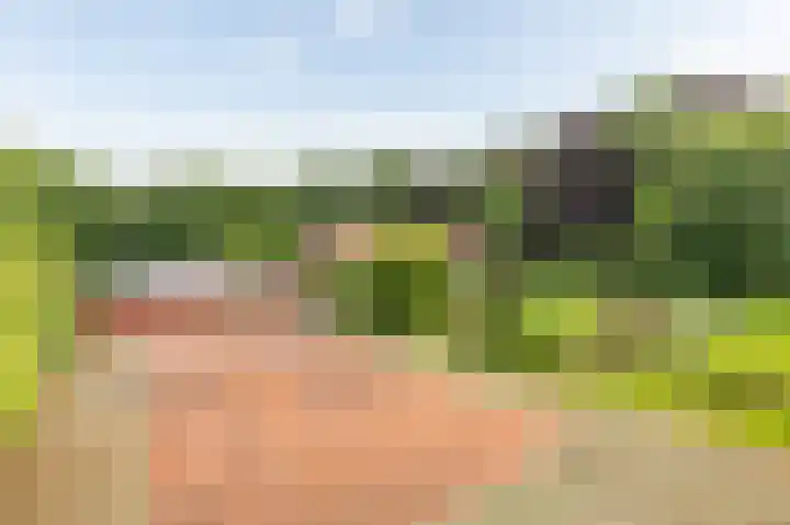 Rijksstraatweg 19 Glimmen thumbnail 43