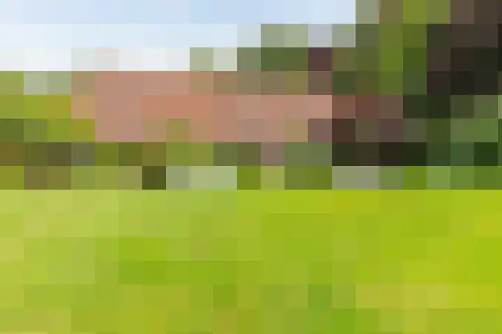 Rijksstraatweg 19 Glimmen thumbnail 44