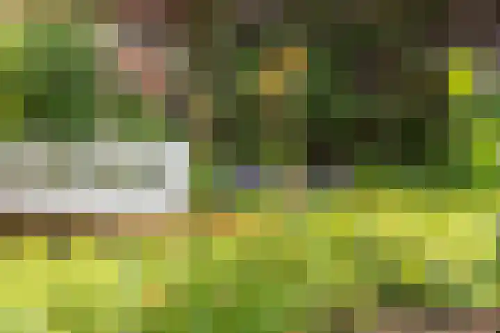 Rijksstraatweg 19 Glimmen thumbnail 48