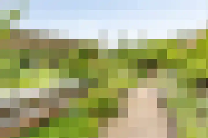 Rijksstraatweg 19 Glimmen thumbnail 49