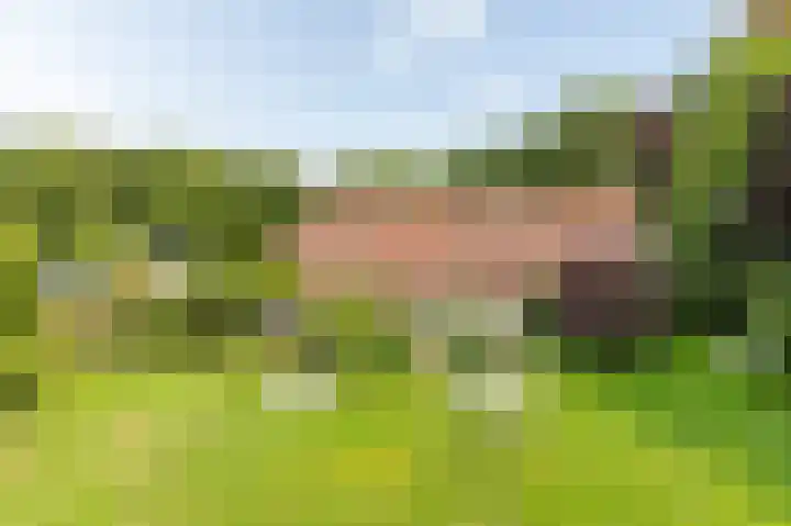 Rijksstraatweg 19 Glimmen thumbnail 5