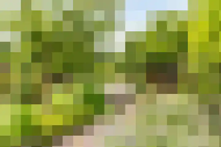 Rijksstraatweg 19 Glimmen thumbnail 50