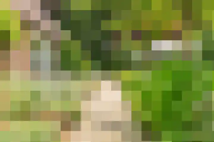 Rijksstraatweg 19 Glimmen thumbnail 51