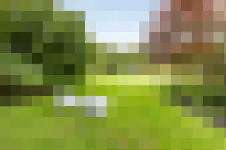 Rijksstraatweg 19 Glimmen thumbnail 52