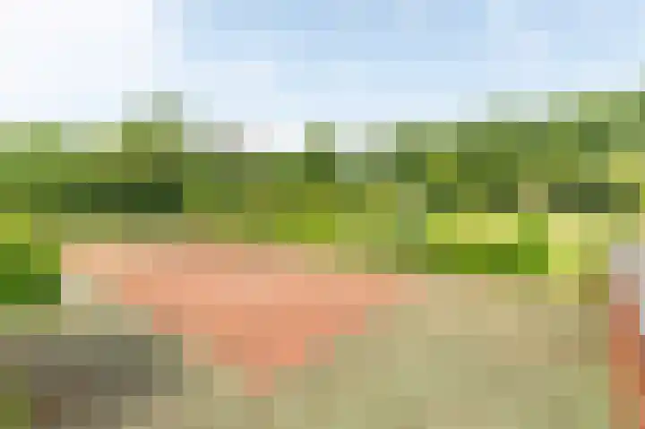 Rijksstraatweg 19 Glimmen thumbnail 6