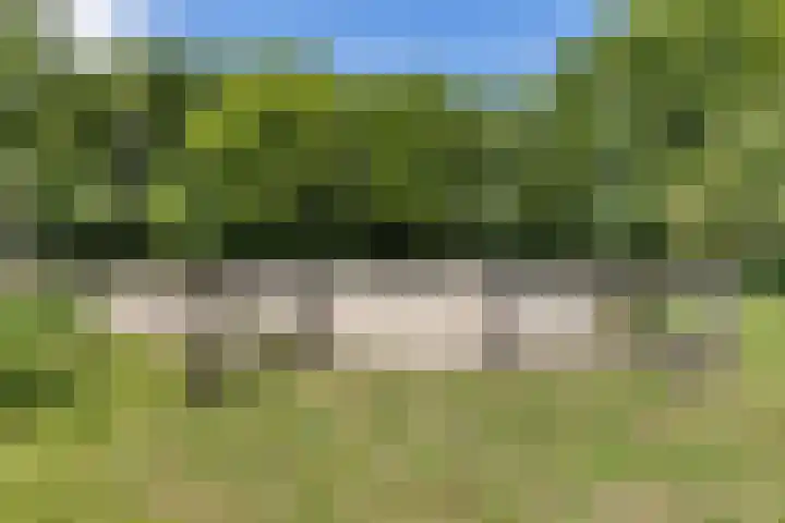Rijksstraatweg 19 Glimmen thumbnail 62