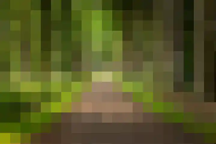 Rijksstraatweg 19 Glimmen thumbnail 64